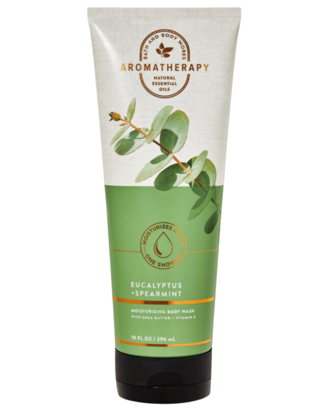 Daily Vanity Beauty Awards 2024 Best Body care Bath &#038; Body Works Singapore Eucalyptus Spearmint Moisturising Body Wash Voted By Beauty Experts